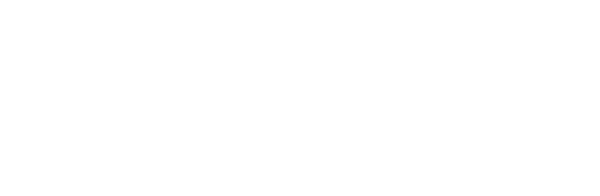 Wilcoxon Sensing Technologies